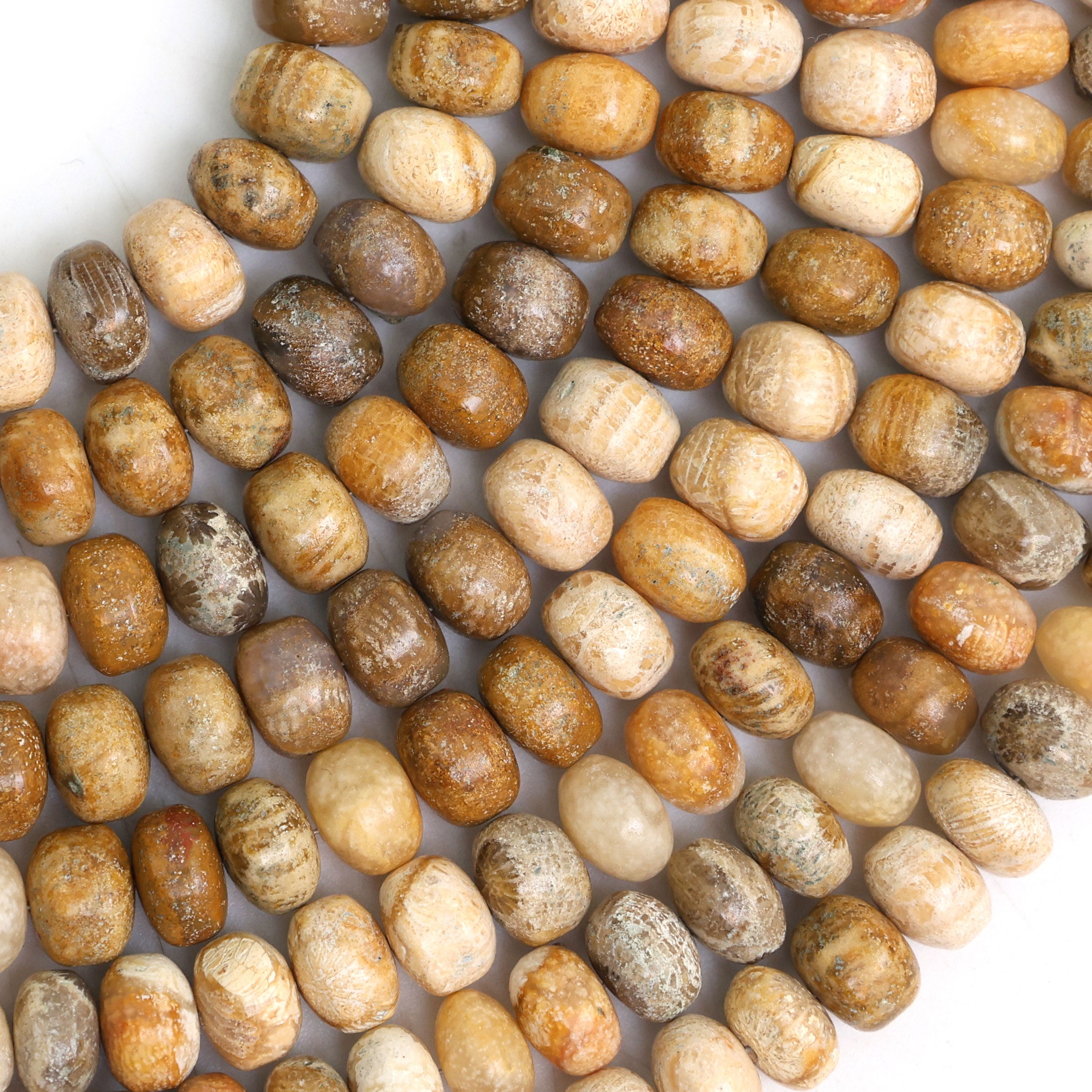 Natural Fossil Coral 8mm Calibrated Smooth Rondelle Beads